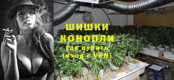 прущие грибы Алексин