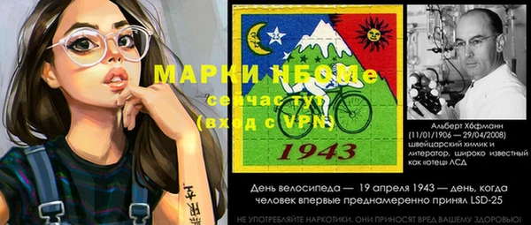 ПСИЛОЦИБИНОВЫЕ ГРИБЫ Осинники