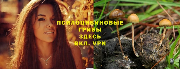Альфа ПВП Алзамай