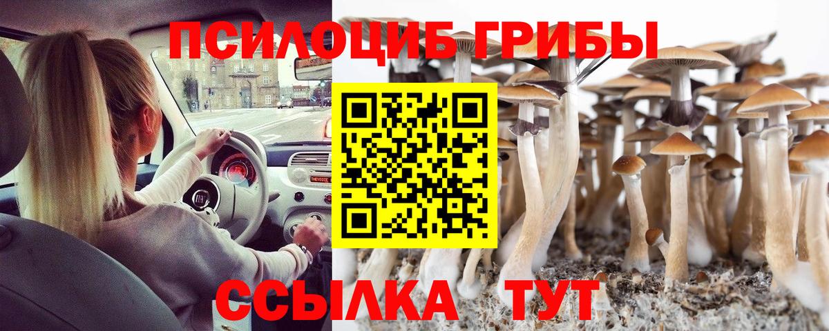 Прохладный  Псилоцибиновые грибы Magic Shrooms  Вход с VPN 