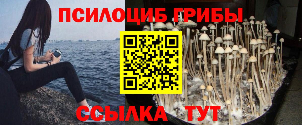 Метадон Прохладный